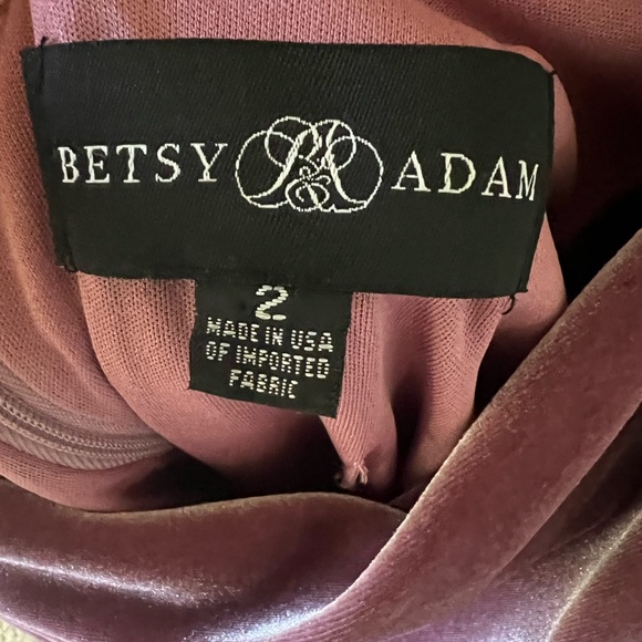 Betsy & Adam Rose Velvet Dress - Picture 5 of 14